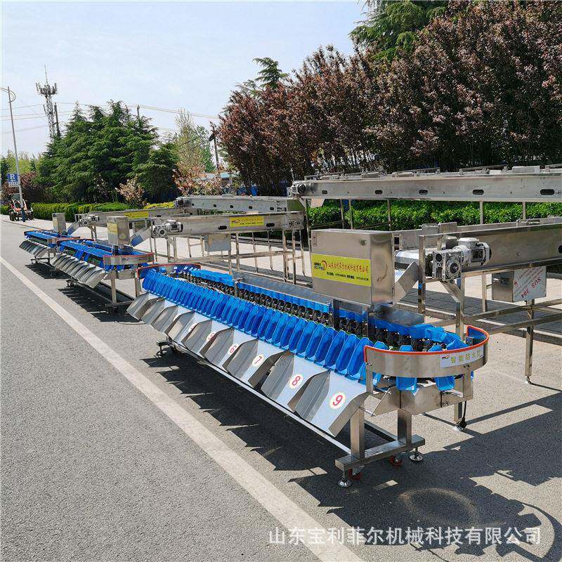 龙虾分拣机 重量海参分选机称重鱼翅分级机在线动态检测 人参选别