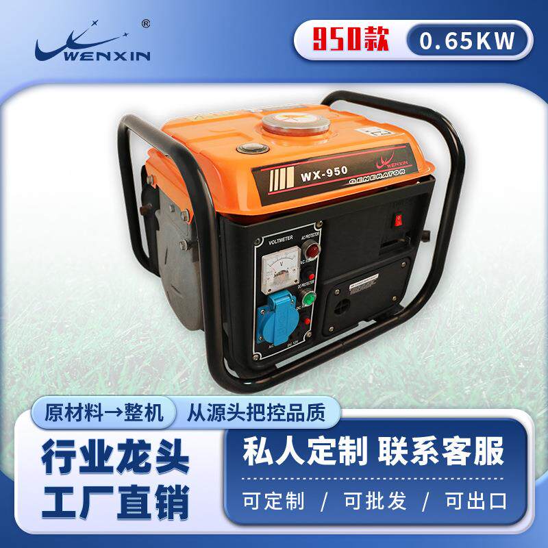 手摇发电机便携式微型发电机 迷你發電機家用汽油小型发电机220伏