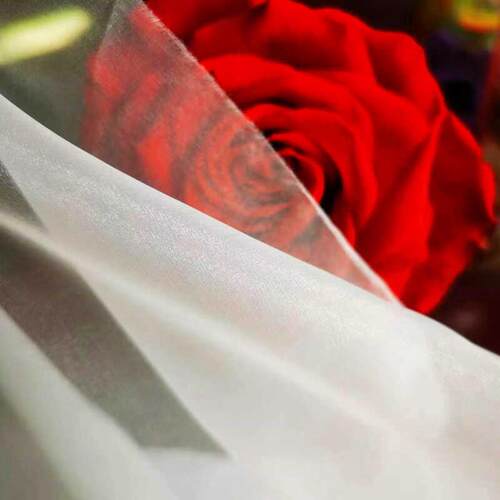 10D如意纱 薄轻透柔软1010欧根纱布料连衣裙婚纱古装国风汉服面料