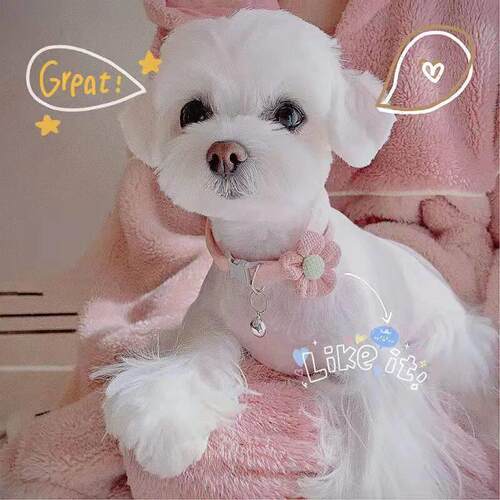 Lovely Cat Collar Adjustable Cartoon Style Soft Plush Flower