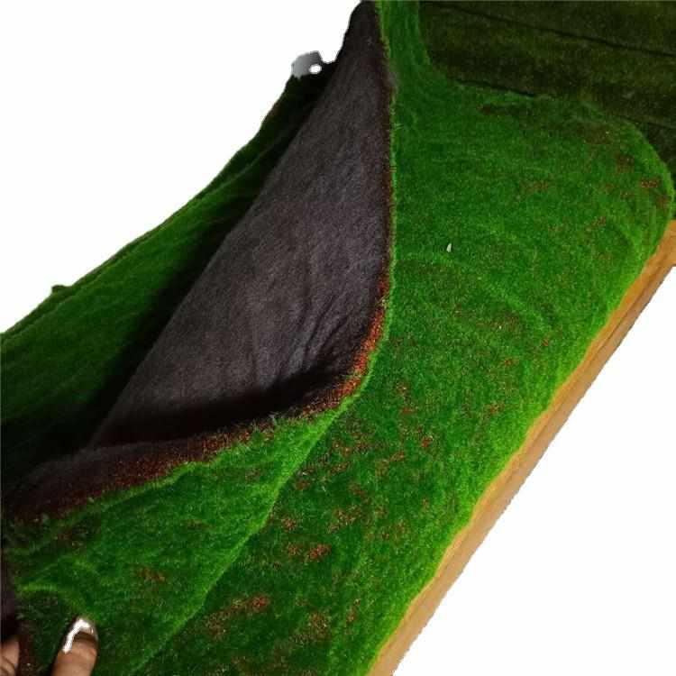 仿真青苔草坪苔藓藓草皮假苔藓植物背景墙室内外园林装饰盆景盆栽
