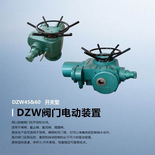 DZW45DZW60阀门电动装置 大直径观察窗老款开关型
