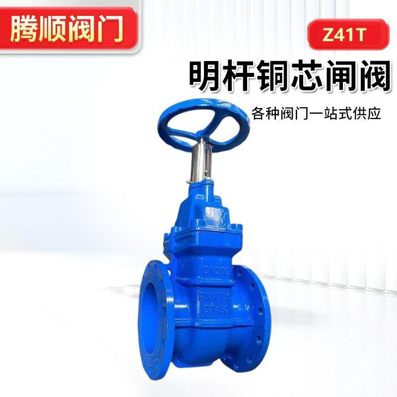Z41T明杆铜芯闸阀球墨铸铁法兰暗杆硬密封阀门锁闭阀开关硬密封