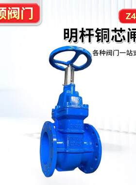 Z41T明杆铜芯闸阀球墨铸铁法兰暗杆硬密封阀门锁闭阀开关硬密封