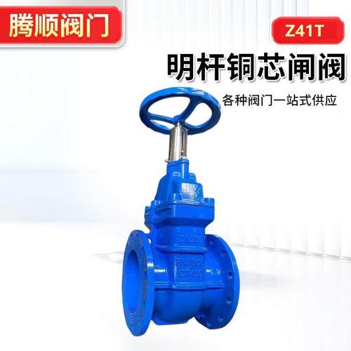 Z41T明杆铜芯闸阀球墨铸铁法兰暗杆硬密封阀门锁闭阀开关硬密封
