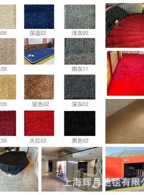华德割绒地毯卧室地毯客厅会议室酒店邮轮精纺超软满铺地毯 FJN