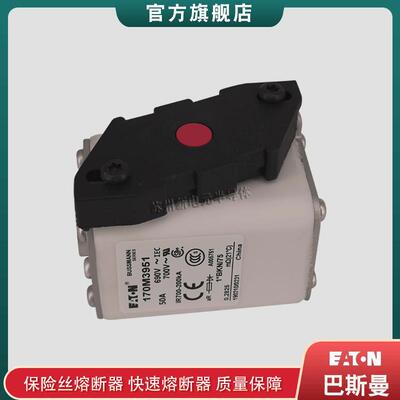 170M3951 3952 3953 3954 3955 巴斯曼bussmann快速熔断器保险丝