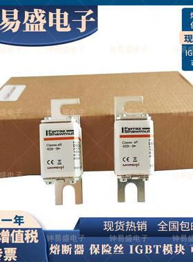 Mersen美尔森熔断器DN00UD10C63V X1065863 63A 1000V W1065862