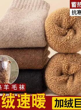 东北袜子冬天特厚羊绒棉袜子