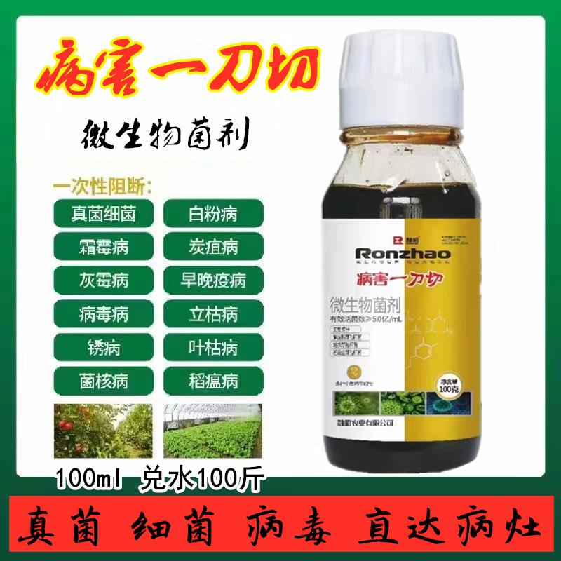 病害一刀切立枯病霜霉病白粉病晚疫病炭疽病真菌细菌病毒杀菌生物