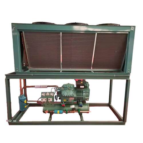 比泽尔6HE-28/6GE-34/6FE-44蔬菜水果冷库25P30P中低温制冷压缩机