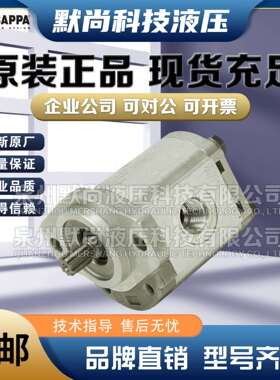 凯斯帕CASAPPA齿轮马达PLM30.22/27/34/38/43/51/61/73/82/90R