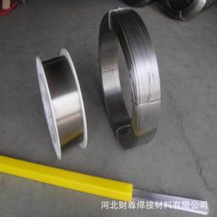 供应ERNi-1镍基合金焊丝SNi2061镍基焊丝焊丝ERNi-1