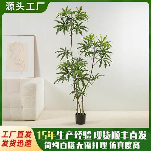 仿真绿植高级感孔雀木家居室内装饰落地摆件植物盆栽橱窗假树植物