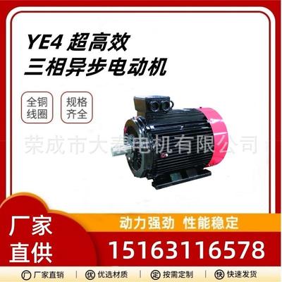 山东众泰大泰华力华瑞YE4-180M-4极18.5kw纯铜户外防腐电动机