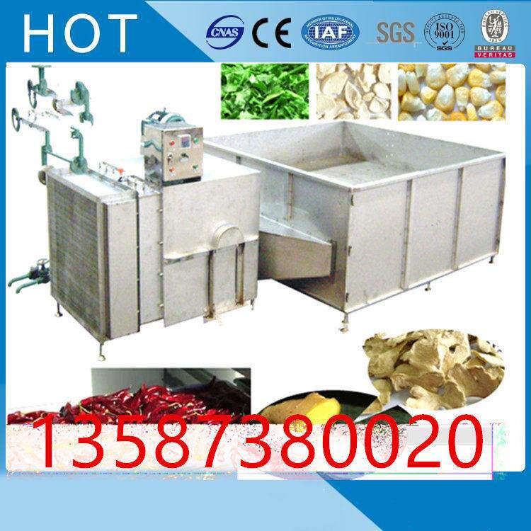 果蔬箱式脱水机猕猴桃片苹果条片沙枣菠萝蜜大葱万年青烘干脱水