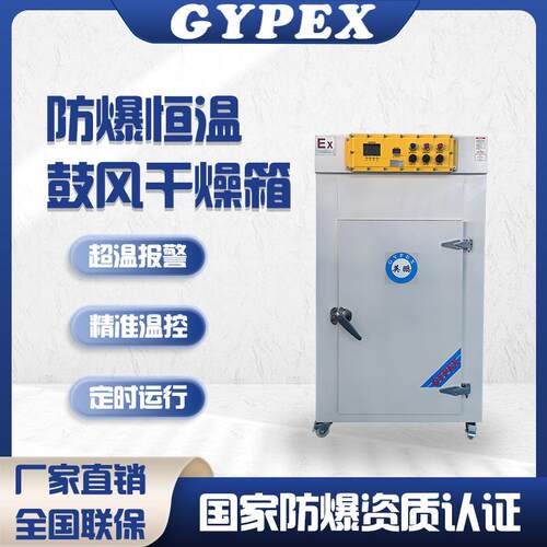 防爆立式恒温干燥箱工业厂房烘箱高校实验室风干烘干立式烘箱