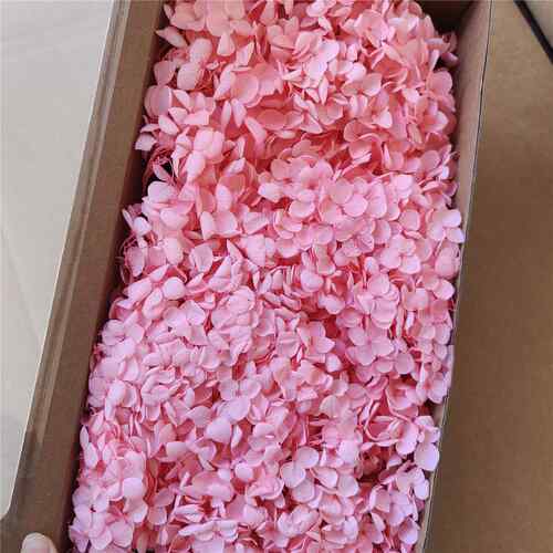 永生花绣球花安娜小叶干花真花圣诞树团扇手工花束diy材料包花卉