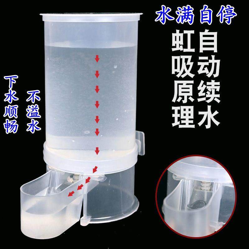 鸽子饮水器新款鸟用信鸽用具自动水壶鹦鹉喂水杯芦丁鸡小鸡饮水槽