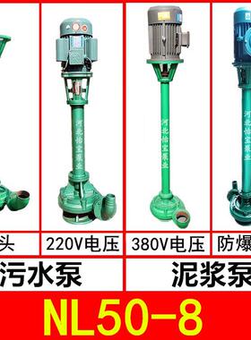 NL50-8泥浆泵立式鱼塘清淤粪便排污泵2寸