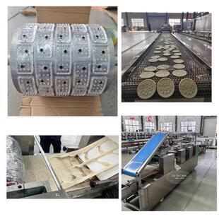 中小型薄脆饼干生产线创业饼干机饼干加工设备