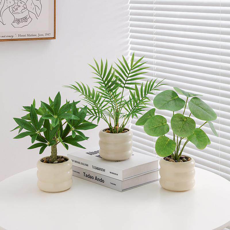 植绿件发财树办公室桌面假植物小型盆栽造景家居装HVK摆饰仿生花