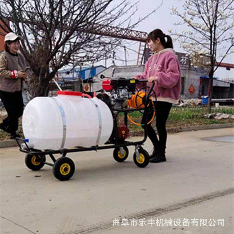 园林果树农用打机 汽油喷机  园林绿化草坪杀虫清洁打机
