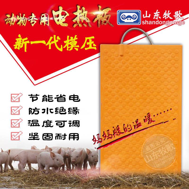 山东牧歌仔猪电热板猪用包邮产床小猪加热保温板碳纤维保温箱板