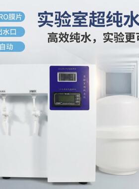 理化分析用超纯水机15L/H超纯水三级水一级水实验室超纯水设备