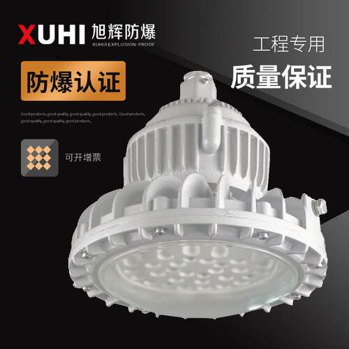 XHD610免维护 LED防爆灯70W80W100W防爆LED灯 防爆路灯防爆照明灯