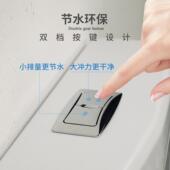 冲箱蹲便水器用程塑料pp工厕所卫生808间冲水箱手按式 家大冲力蹲