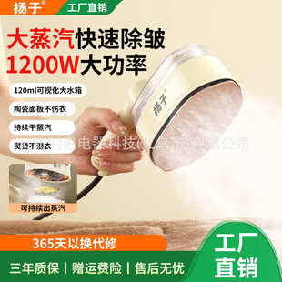 旋转手持小型电熨斗挂烫机熨衣服神器便携旅游家用旅游 扬子爆款