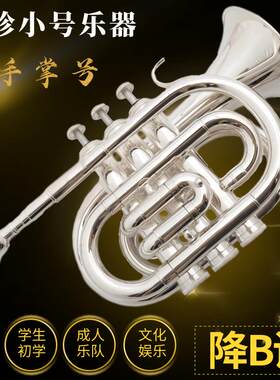 巴哈手掌号乐器金色学生初学者省力袖珍小号银色降B调专业乐队
