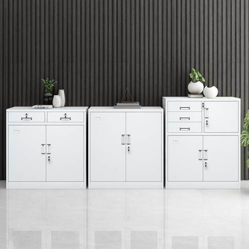 永带办格公文件柜铁YG-20201柜资料柜财务凭证柜储物柜锁整皮理柜