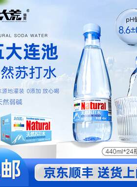 北大荒天然苏打水440mlx24瓶整箱五大连池弱碱性饮用水非矿泉水