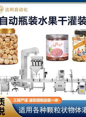定量瓶装无花果干水果干灌装线自动灌装机械设备