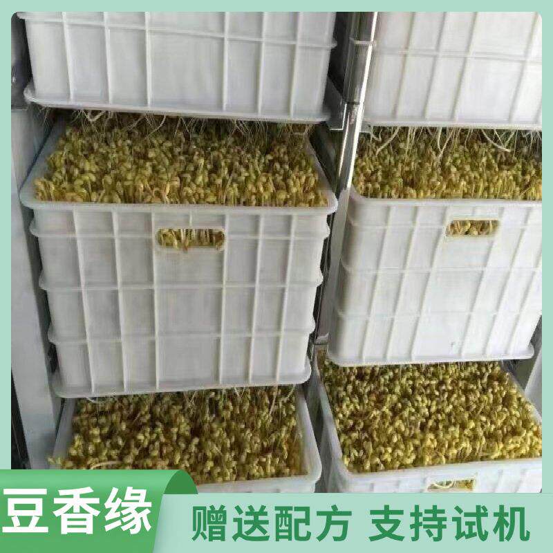 多功能质优价廉全自动豆芽机微电脑控制淋水一机多用