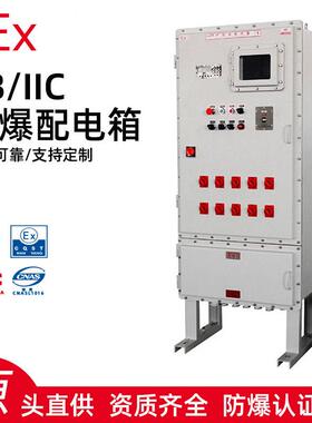 防爆配电箱IIIC级 不锈钢IIB控制箱 照明电源箱按钮箱非标制作