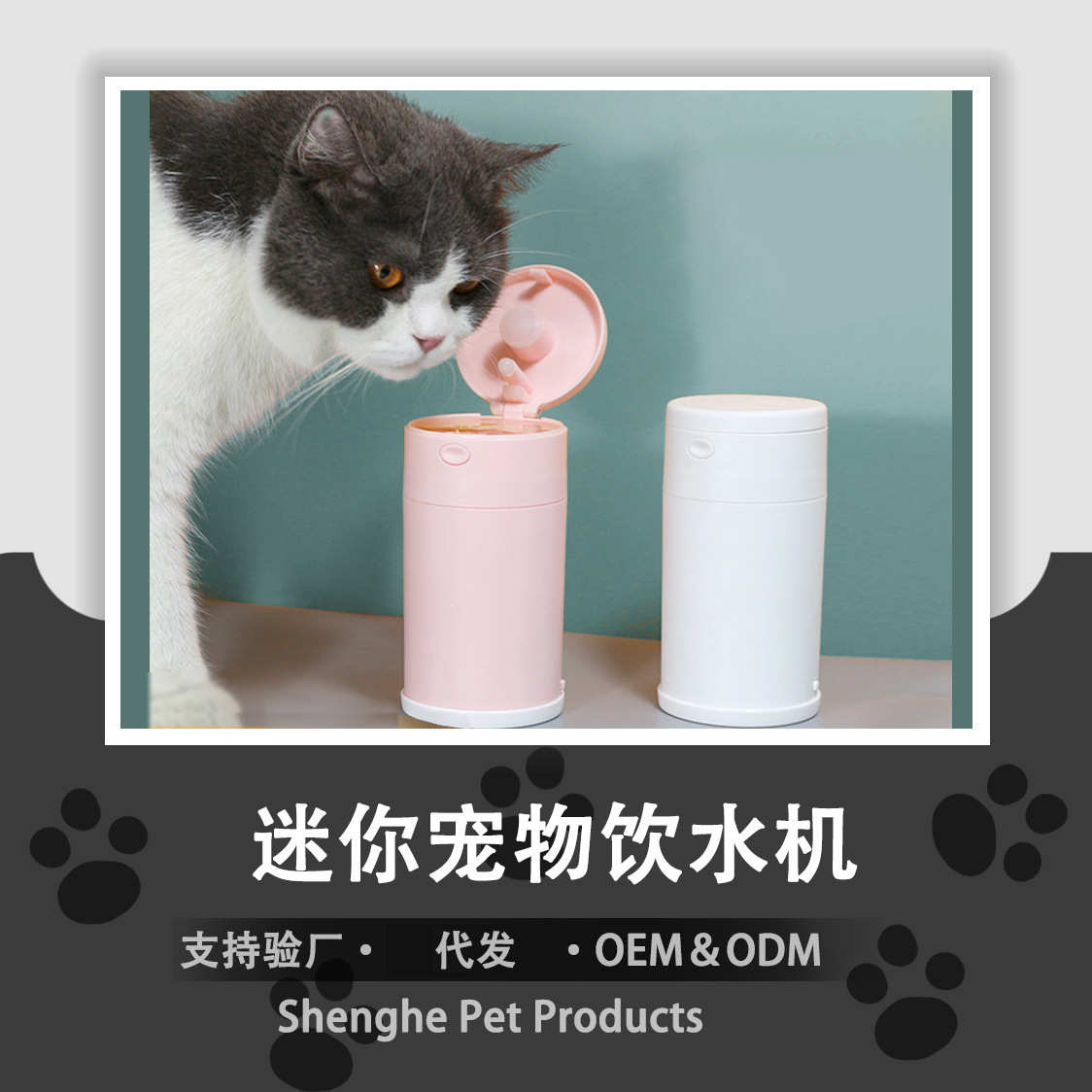 猫狗猫咪水器宠物饮水机便携式饮犬中小型宠物用品循环新款自动
