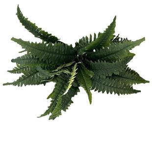 仿真蕨类植物大波斯草仿真草28叶波斯蕨植物墙装饰波士顿蕨
