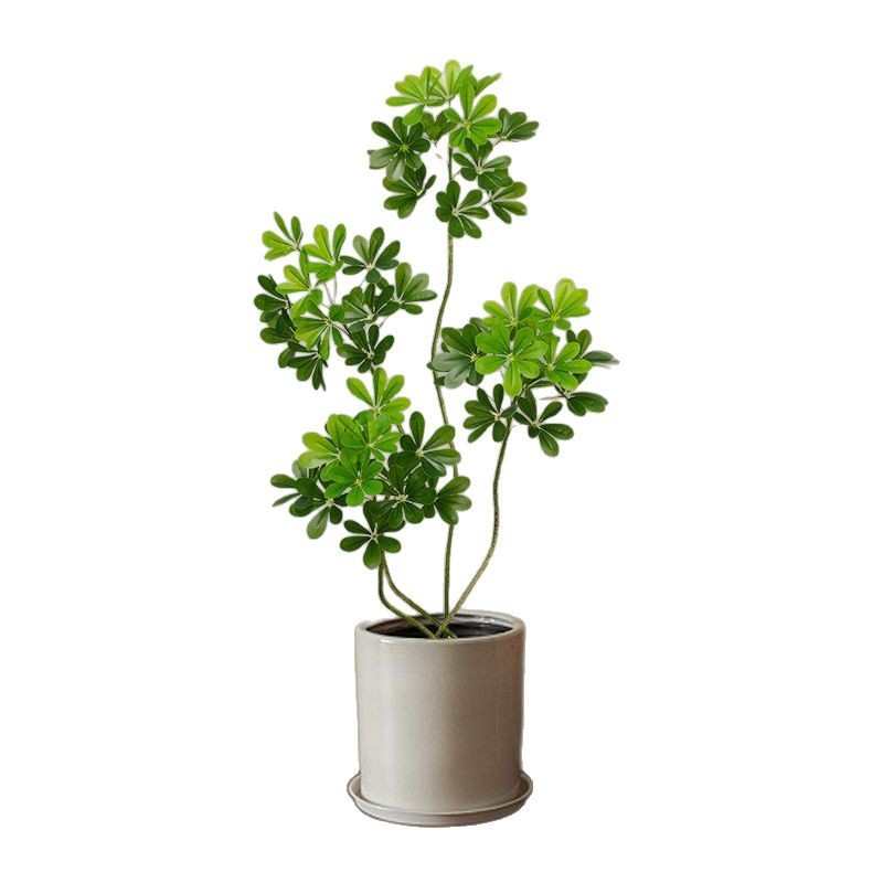 轻奢鸭脚木绿植室内客厅大盆栽仿生植物落地装饰仿真园艺植物摆件