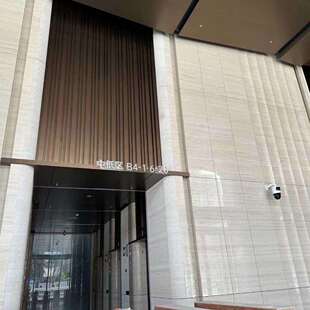 法国木纹石材莱姆石干挂墙砖 木化石反切大理石室内装修