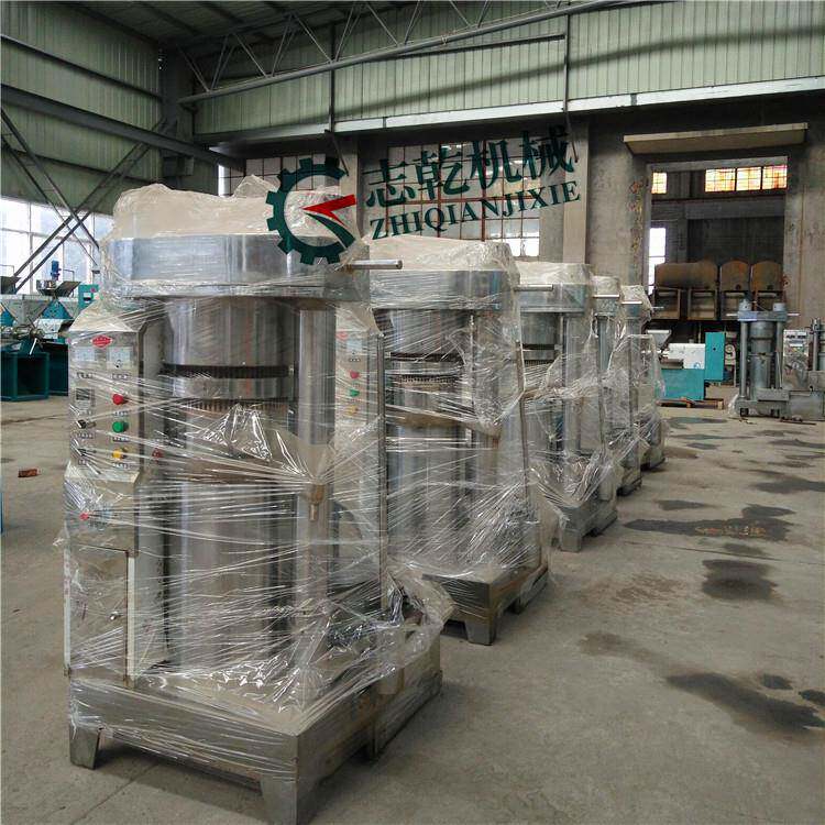 全自动油芝式麻香NGI炸油机立压榨油机厂家志乾花椒麻油榨油液机