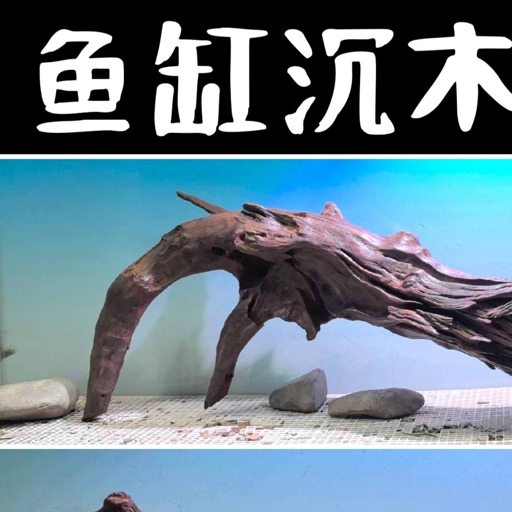 水族造景沉木适用溪流缸南美缸 原生缸装饰枯木庭院造景素材