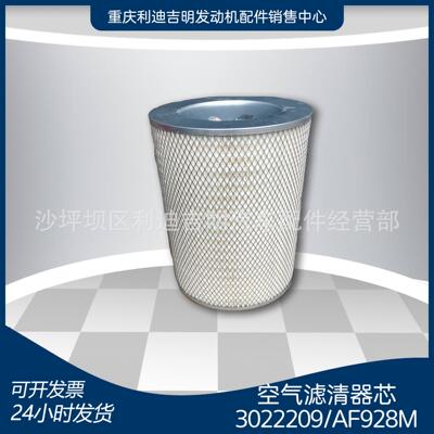 k19k38发电机组配件发动机零件空气滤清器芯3022209AF928M