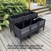 阶梯造型 黄缘专用龟箱 陆龟饲养箱盆设备 浙缘 带躲避区域 安缘