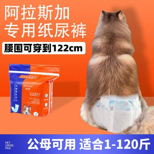 阿拉斯加专用狗狗纸尿裤母狗尿不湿生理裤生理期巾月经例假大型犬