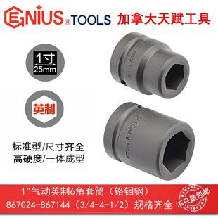 GENIUS天赋进口工具1