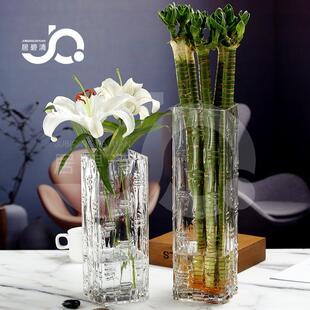 富贵竹花瓶专用透明玻璃轻奢高级感水培水养高落地摆件客厅插花大