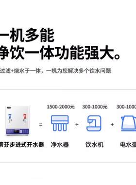 史蒂芬Stevison YT-20(GY)壁挂开水器12/20L爱惠浦过滤器一开一净